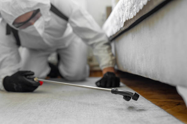 Professional Bed Bug Control technician working in Parmer County County, TX